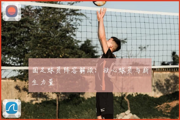 国足球员阵容解读：核心球员与新生力量